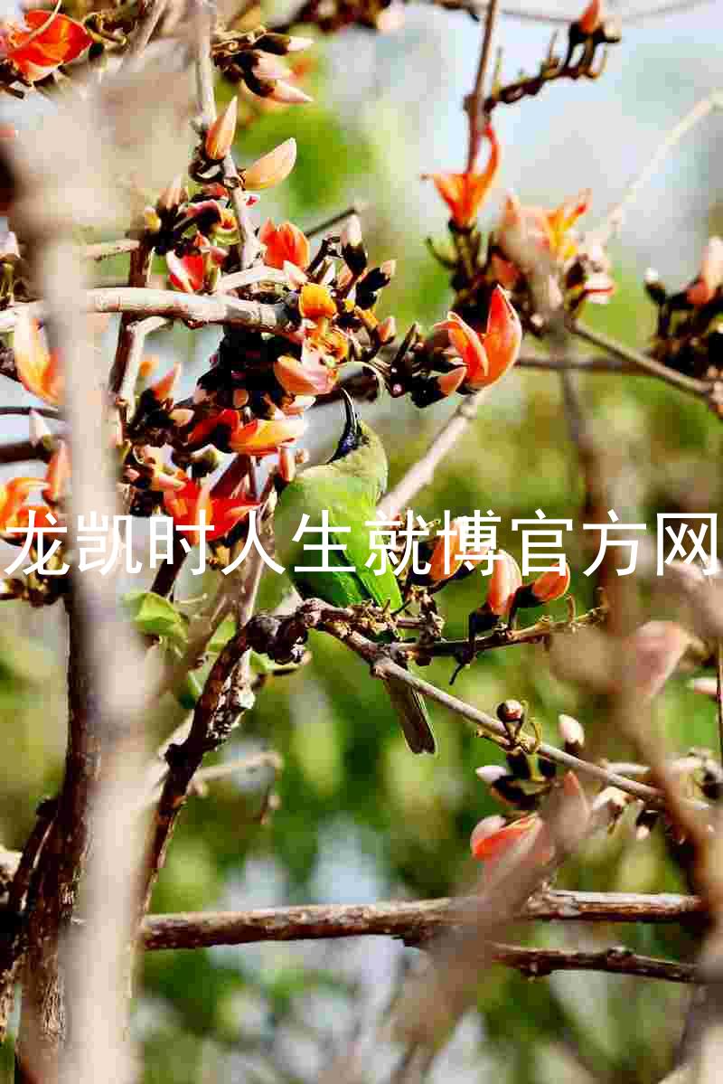 尊龙凯时人生就博官方网站