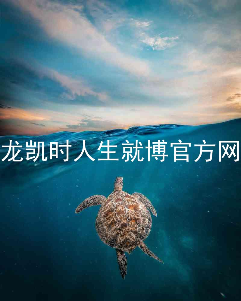 尊龙凯时人生就博官方网站
