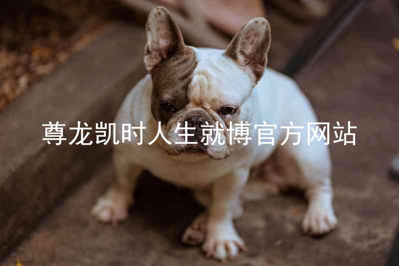 尊龙凯时人生就博官方网站