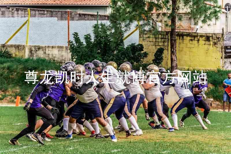尊龙凯时人生就博官方网站