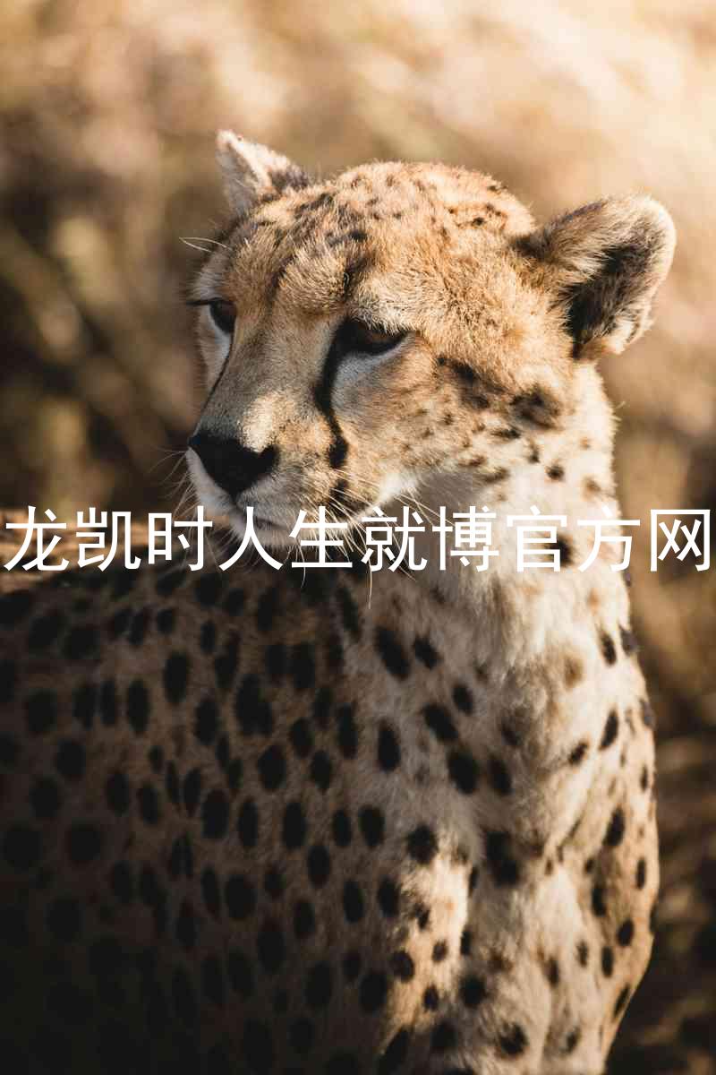 尊龙凯时人生就博官方网站